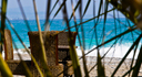 Photo Restaurant Beach Paradise