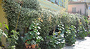 Photo Restaurant Le Beau-Séjour