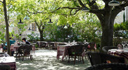 Photo Restaurant Sous les Micocouliers